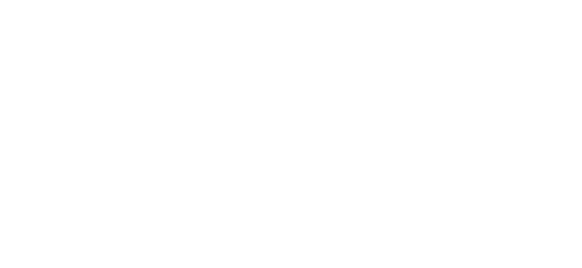 Pearl Angel Consultant Limited